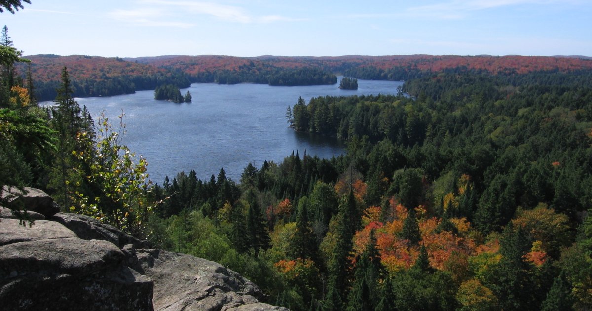 Algonquin Provincial Park Day Trip from Toronto