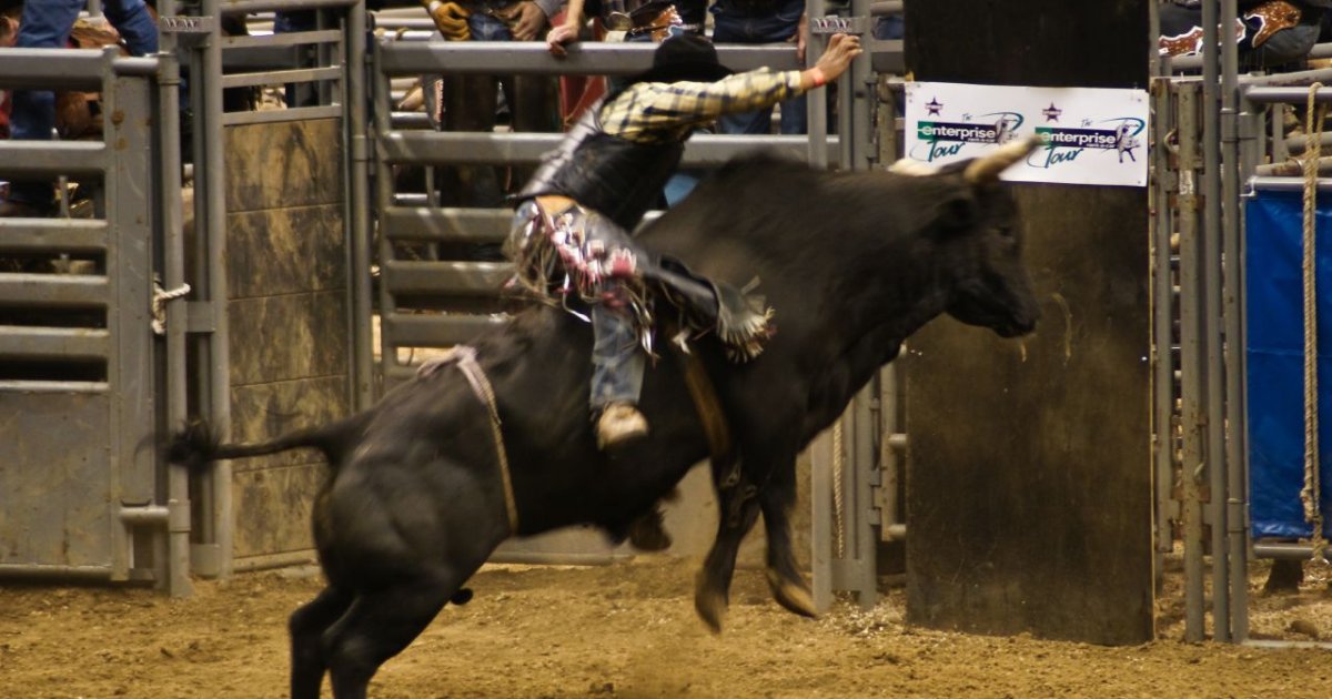 Daines Ranch Pro Rodeo